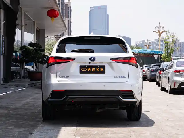 Lexus NX 2020 300h FWD Zhi·Hybrid Special Limited Edition — фото 5