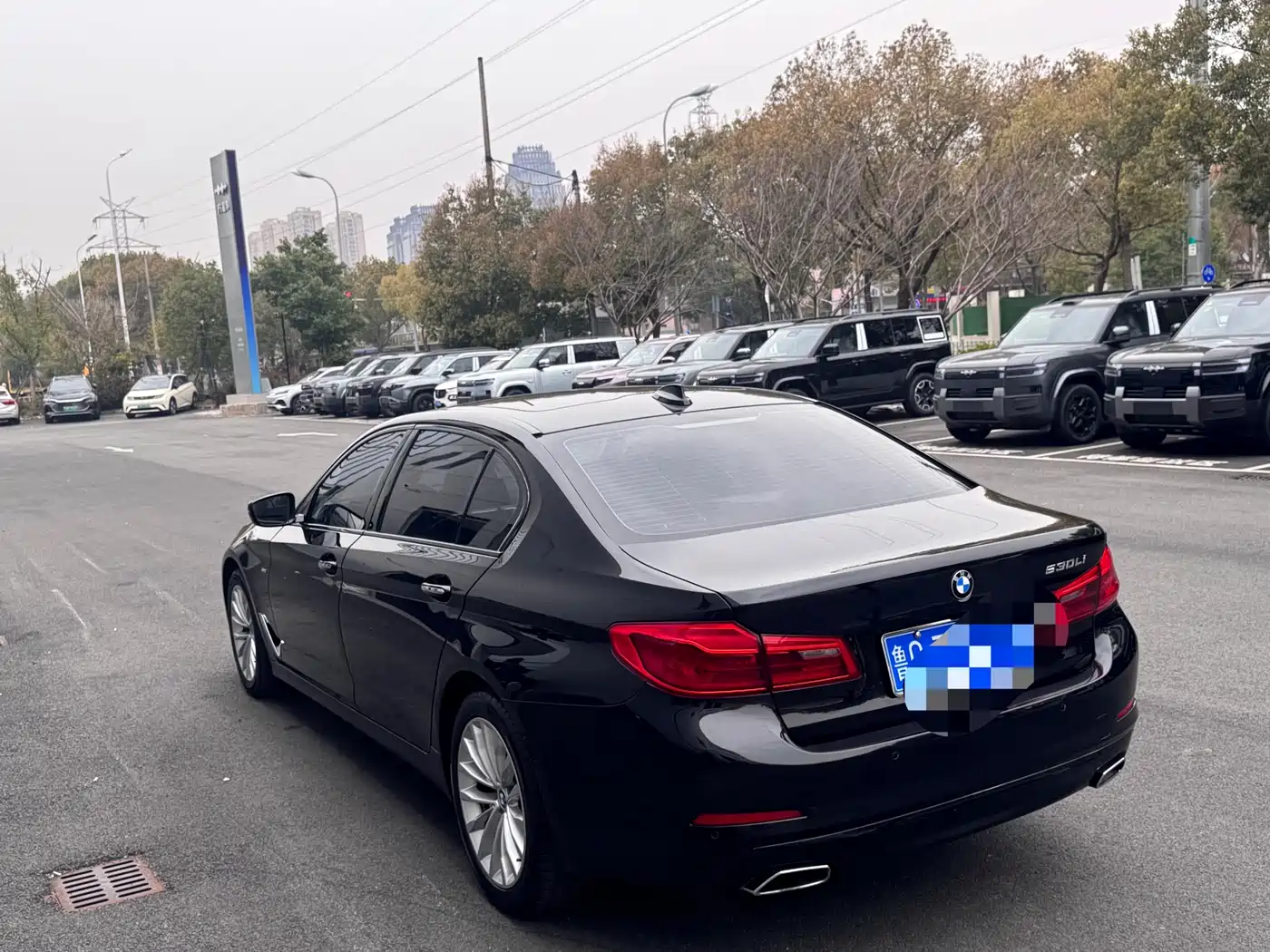 BMW 5 Series 2018 Facelift 530Li Leading Luxury Package фото 12