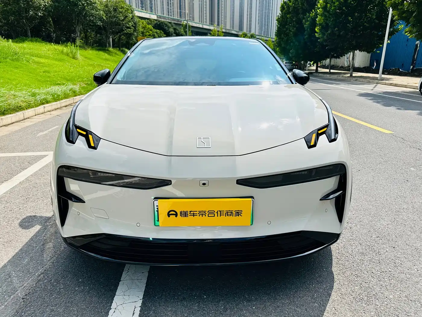 ZEEKR X 2024 2024 Model 4-Seat RWD Version