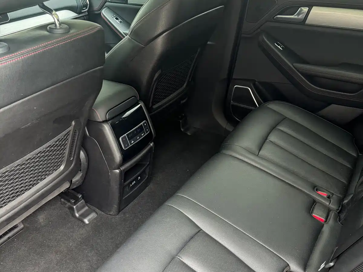 صورة 6 - BYD Tang New Energy