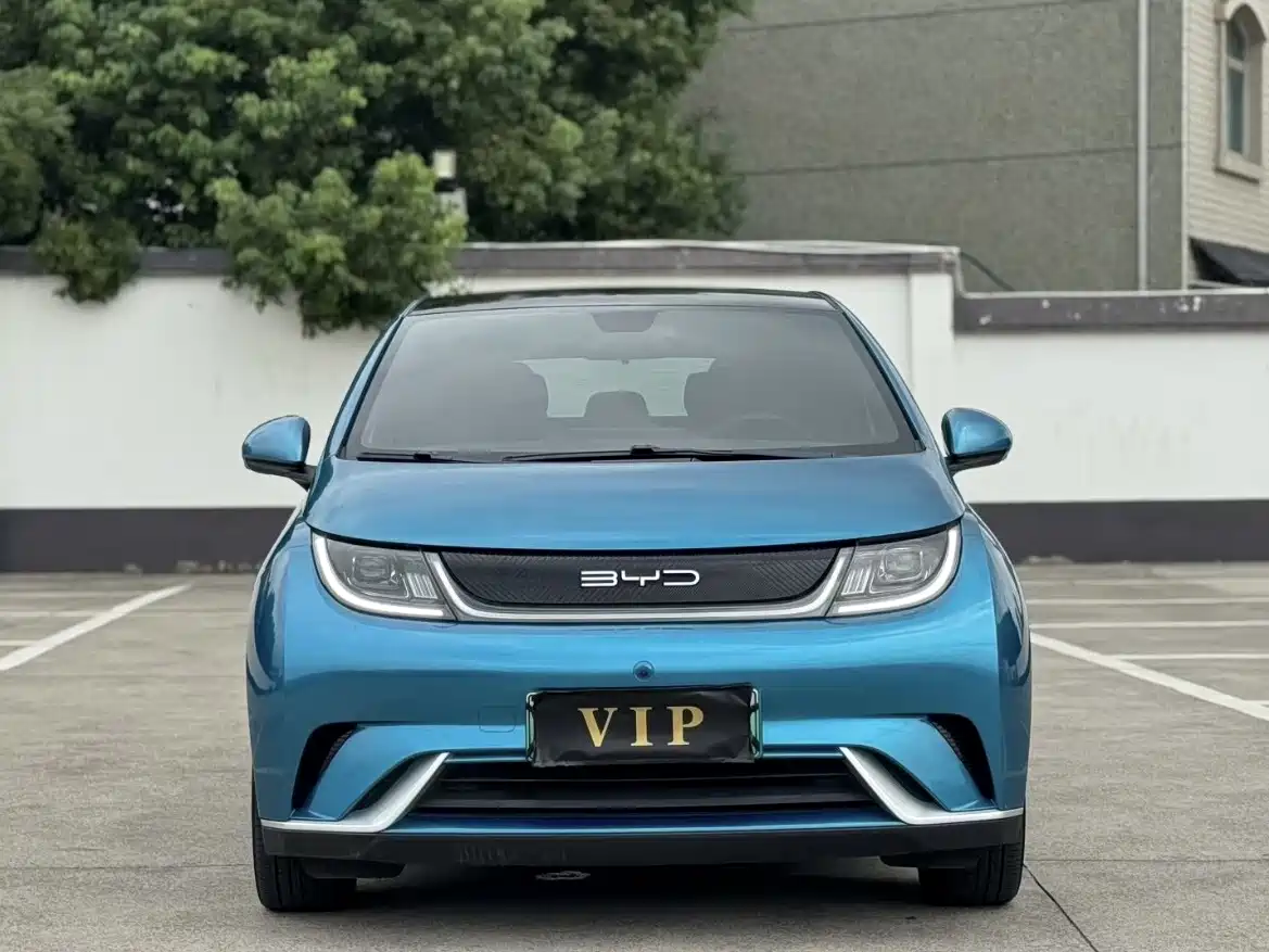 Фото 2 - BYD Dolphin