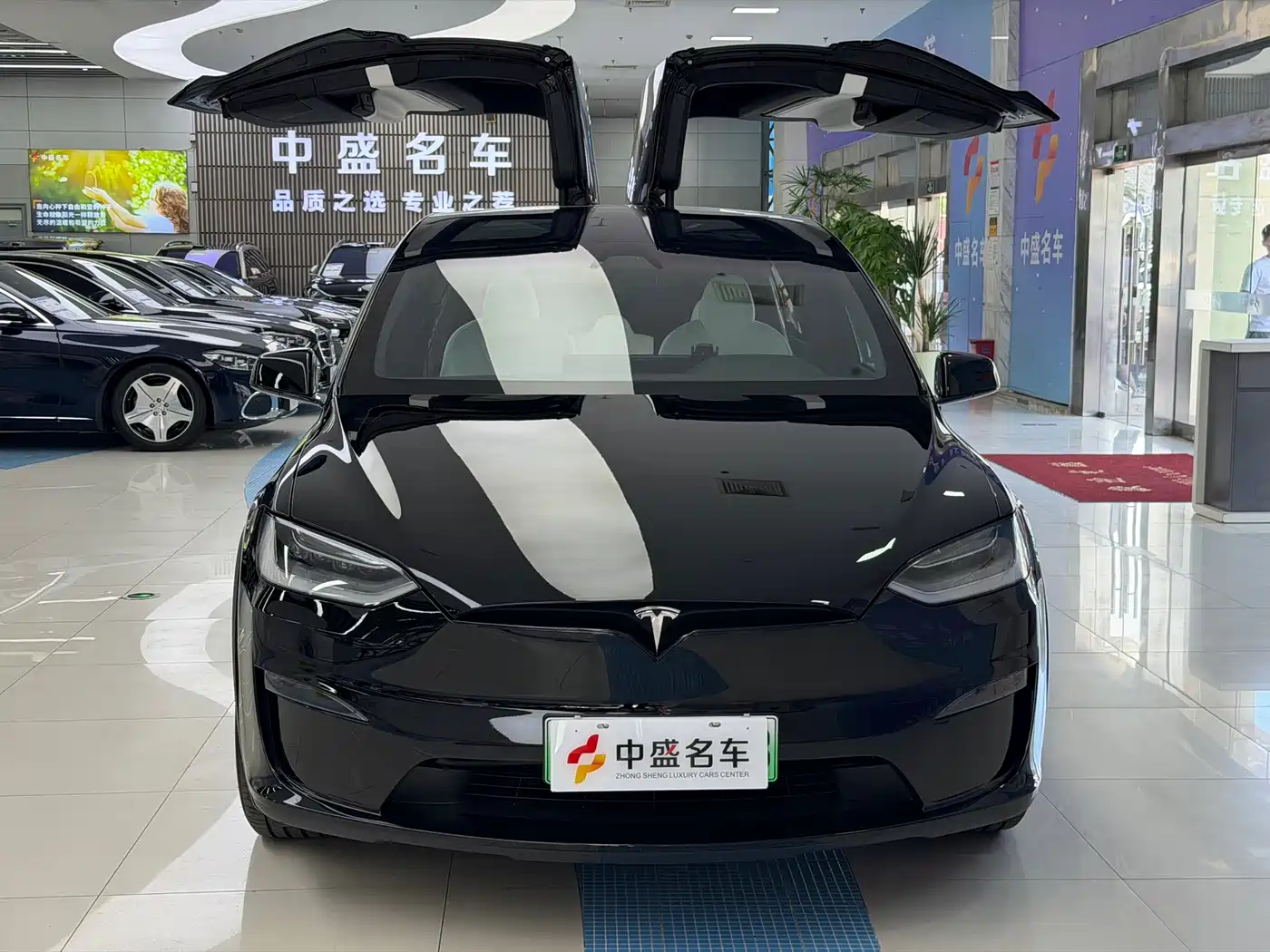 Tesla Model X 2023 Dual Motor All-Wheel Drive Edition фото 4