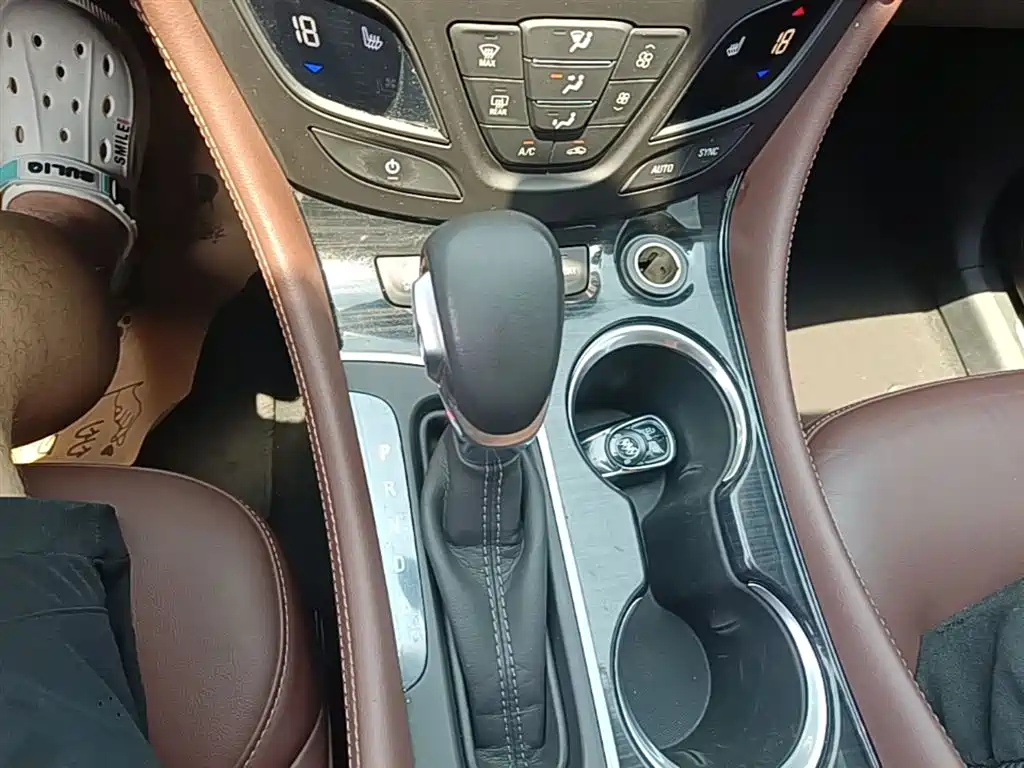 Buick Envision Plus 2020 28T AWD Elite фото 14