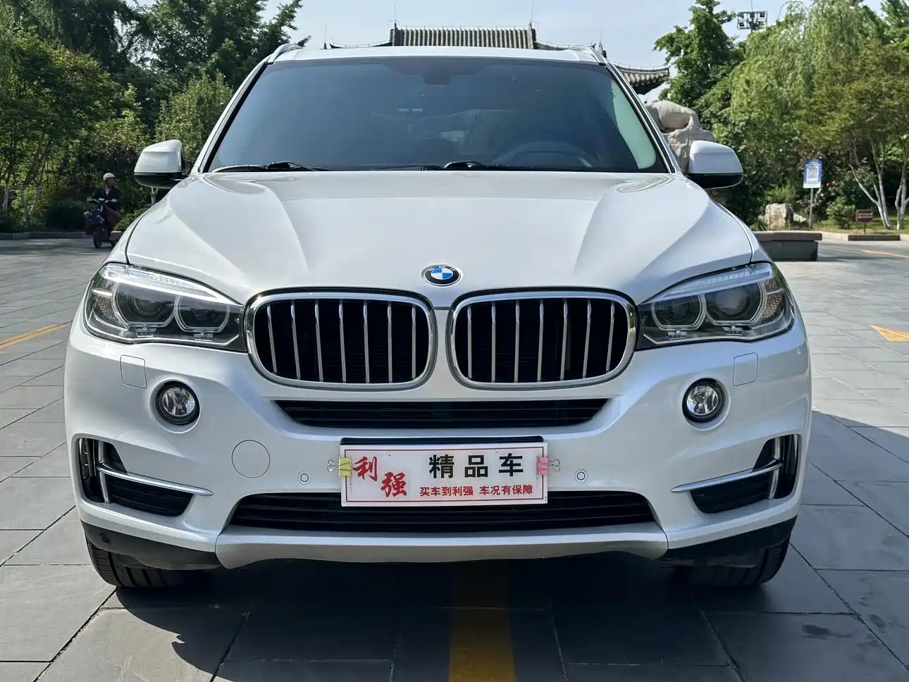 BMW X5 (Import) 2018 xDrive28i фото 2
