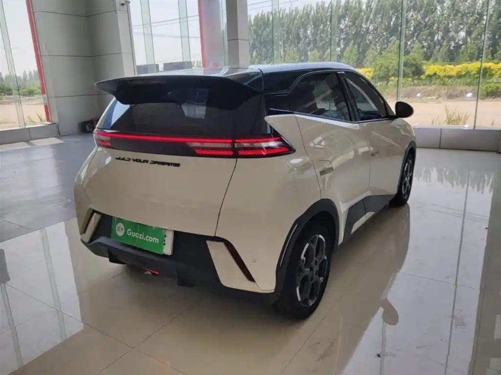 BYD Seagull 2023 Vitality Edition фото 7