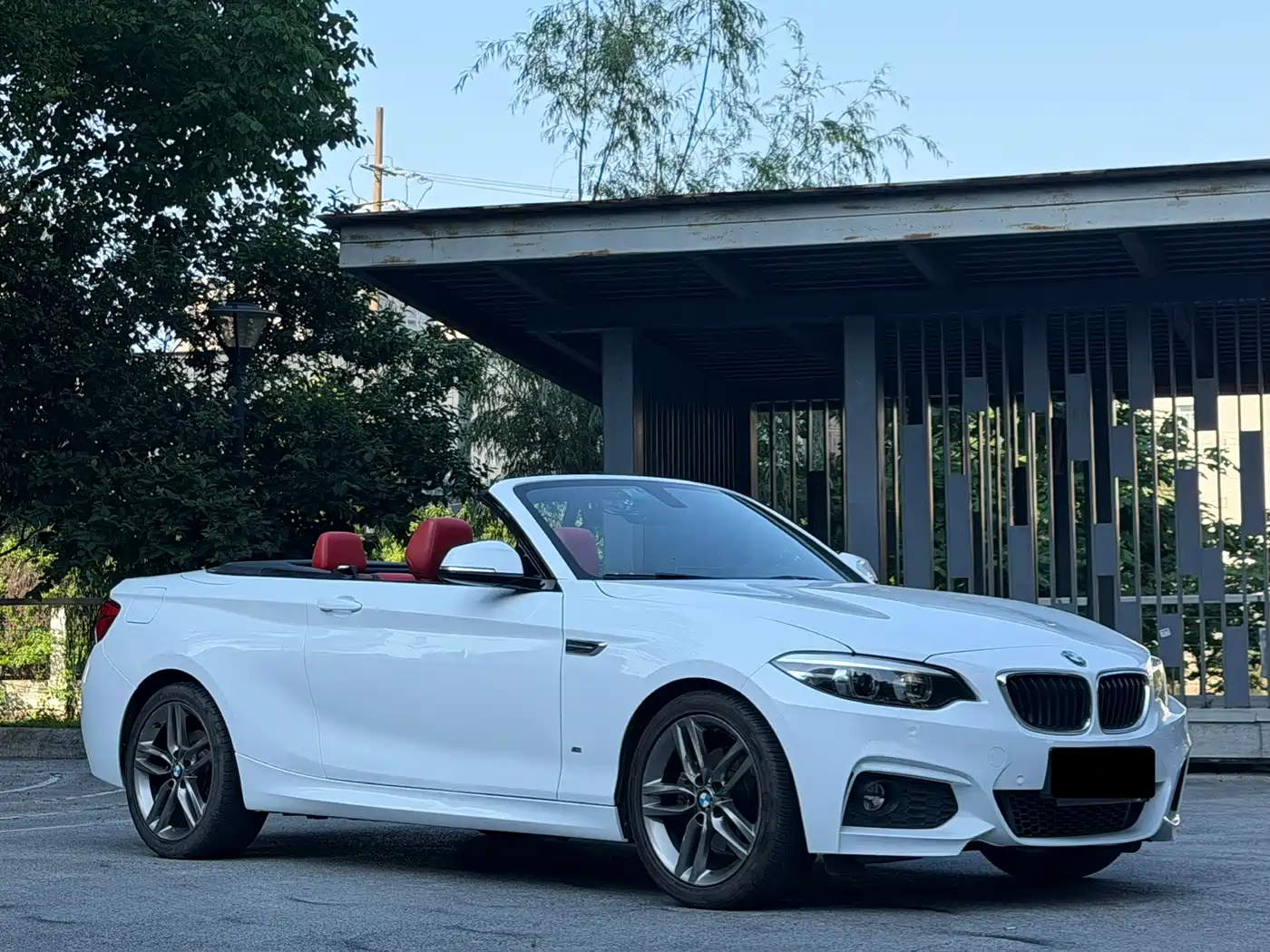 BMW 2 Series (Import) 2018 225i Convertible Coupe Premium M Sport Package фото 3