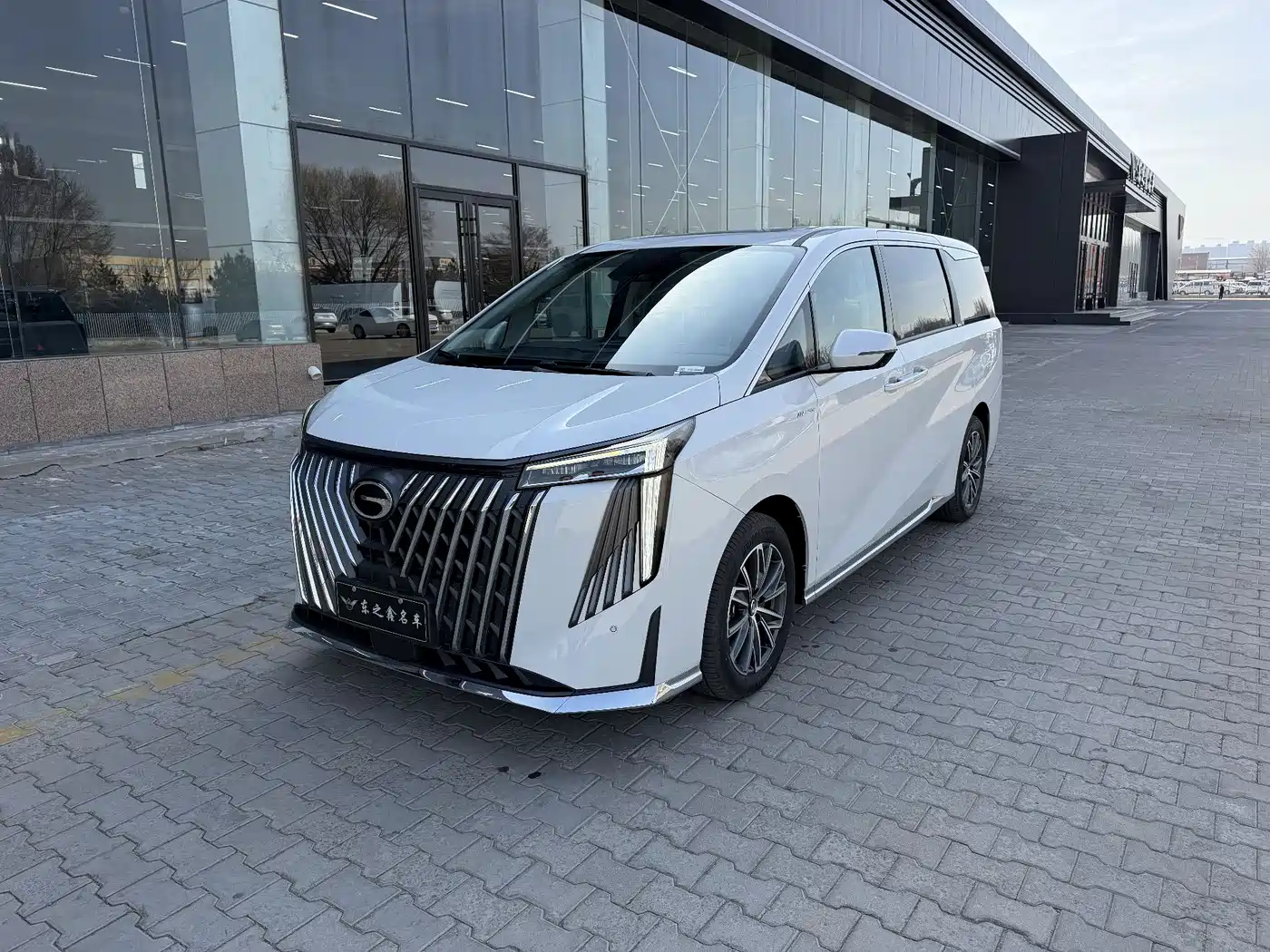 GAC Trumpchi Trumpchi M8 2024 Master Series 400T Premium Edition фото 7