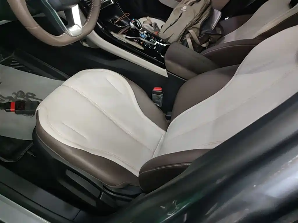 BYD Qin PLUS 2024 Glory Edition DM-i 55KM Leading фото 15