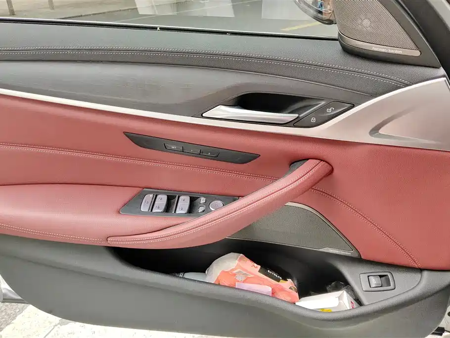 BMW 5 Series 2023 530Li Leading Luxury Package фото 7