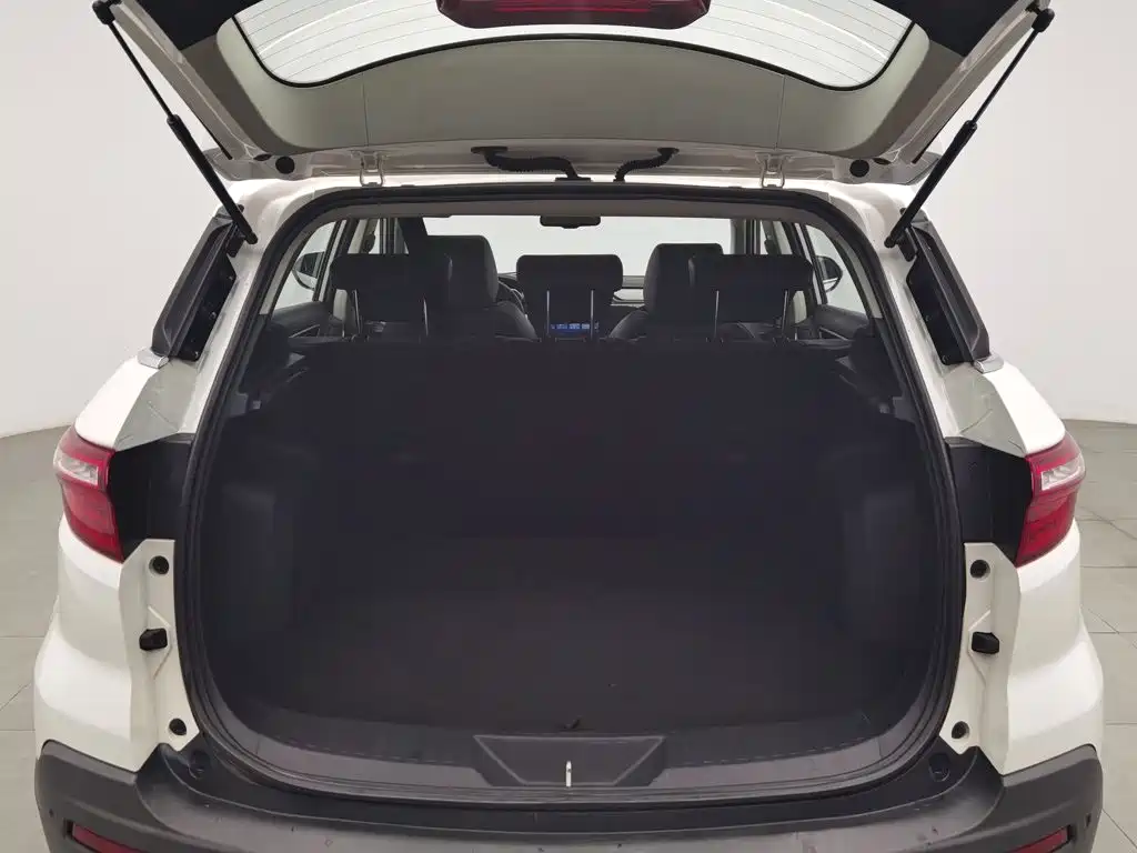 Ford Territory 2019 2019 EcoBoost 145 CVT Platinum Edition China V