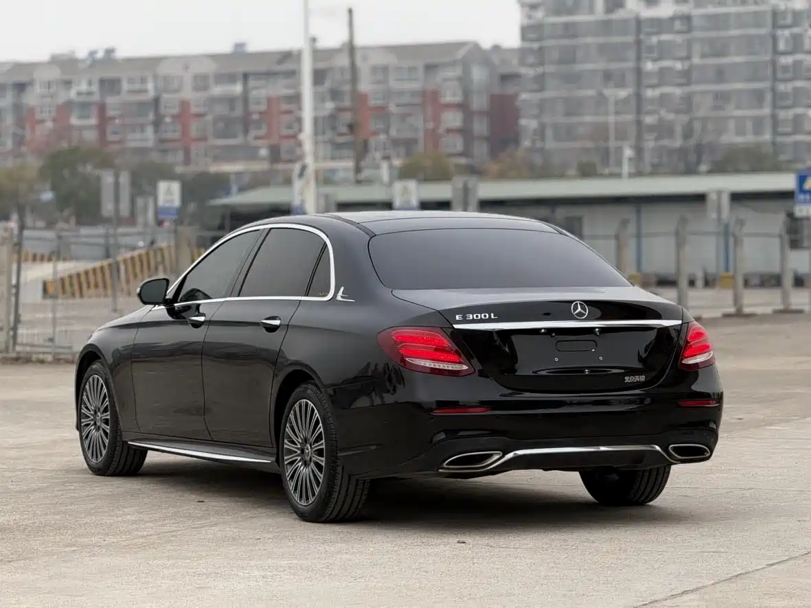 Mercedes-Benz E-Class 2020 E 300 L Luxury Model фото 15
