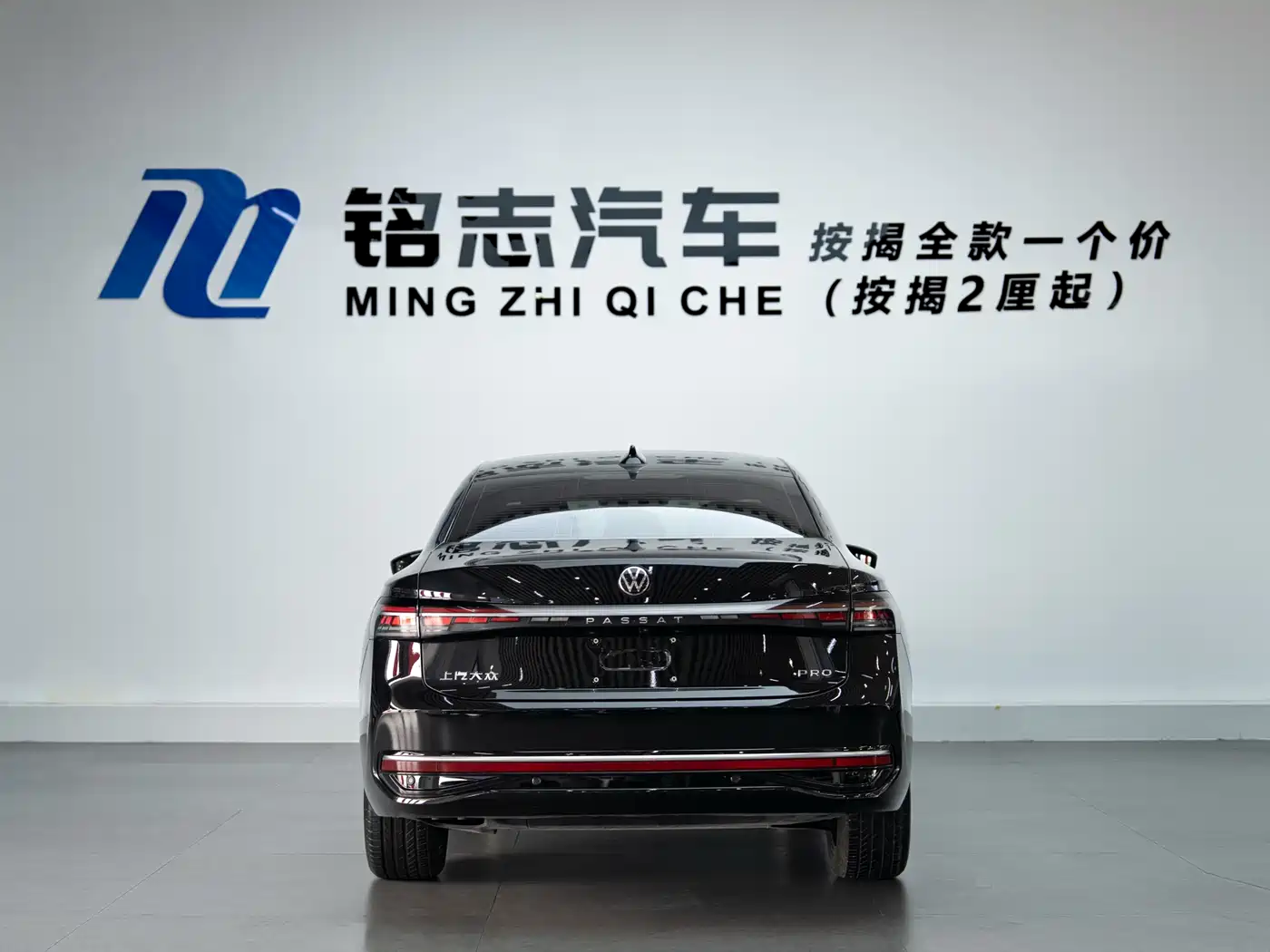 Volkswagen Passat 2025 Pro 380TSI Dragon Glory Edition фото 7