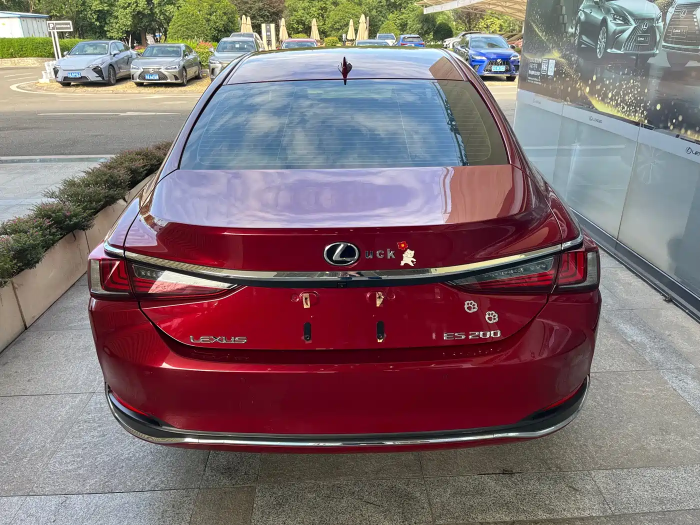 Lexus ES 2020 200 Luxury фото 6