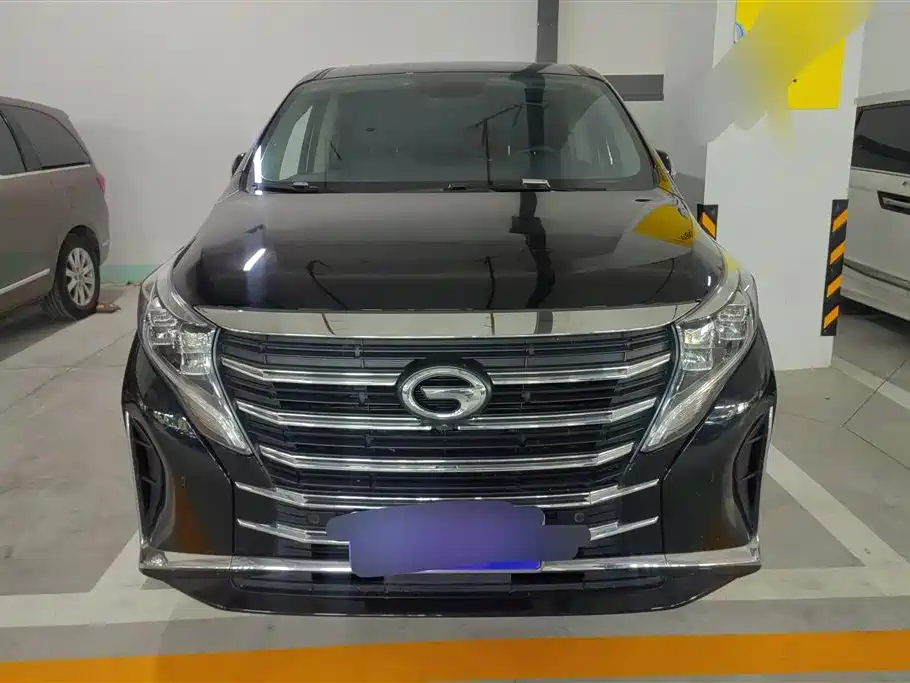 GAC Trumpchi Trumpchi M8 2021 Leading Show Series 390T Ultimate Edition фото 2