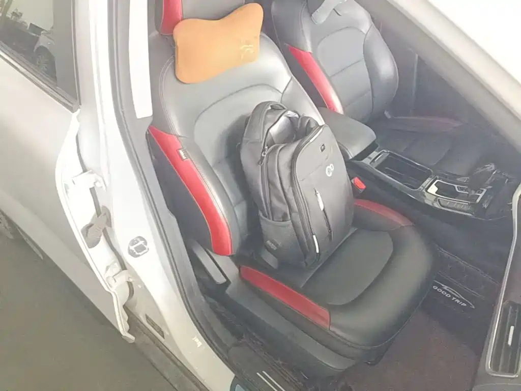 Photo 25 - Geely Emgrand GS