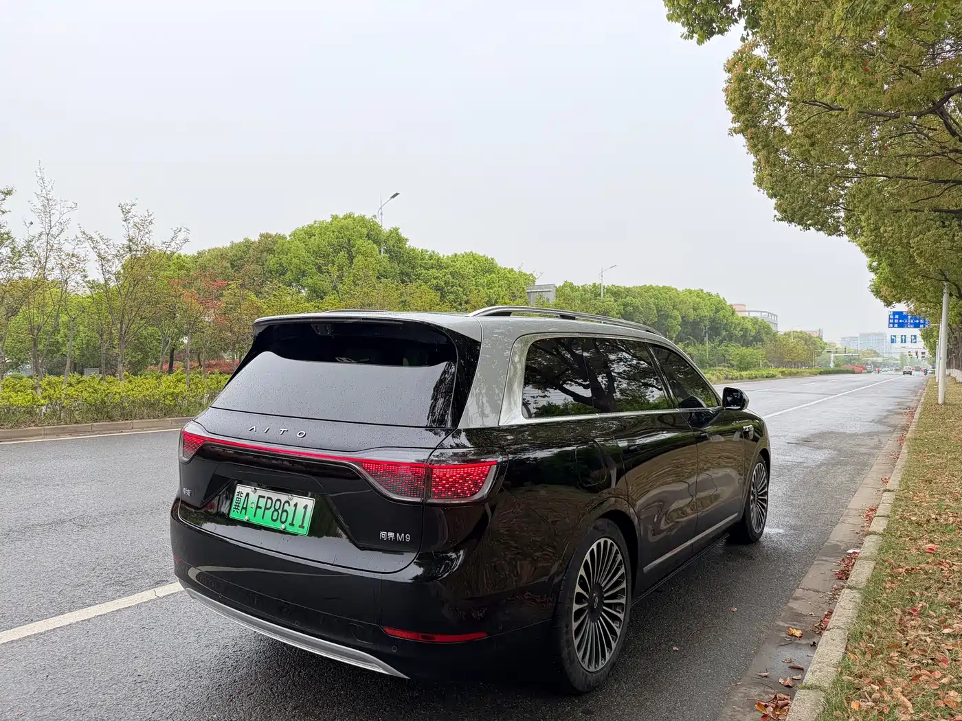 AITO Wenjie AITO M9 2025 Extended Range Ultra 52kWh 6-Seater фото 7