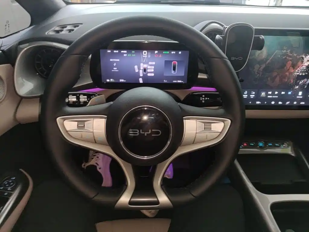 BYD Dolphin 2026 2025 Smart Drive Edition 420km Freedom Version
