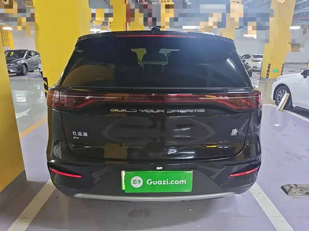 Фото 6 - BYD Tang New Energy