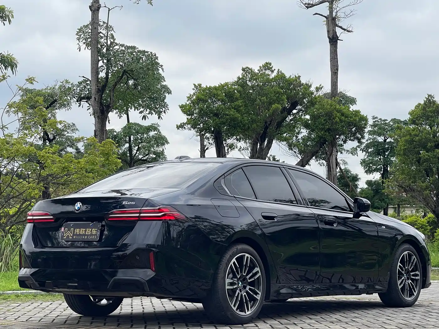 BMW 5 Series (Import) 2024 Model 525i M Sport Package фото 6