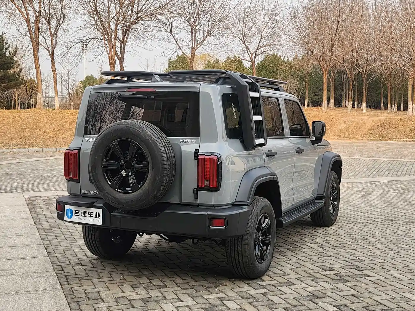 Tank 300 2021 Off-road Version 2.0T Conqueror фото 14