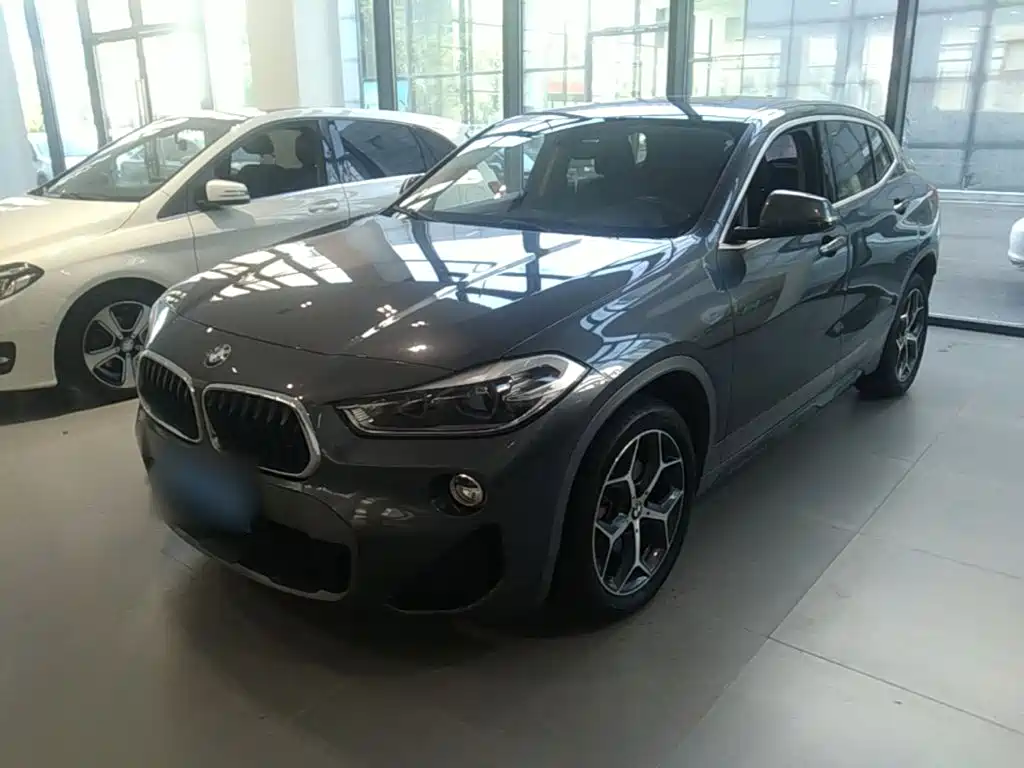 BMW X2 (Import) 2019 2019 sDrive20i M Off-Road Package China VI