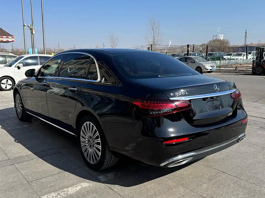 Mercedes-Benz E-Class 2021 E 300 L Fashion фото 6