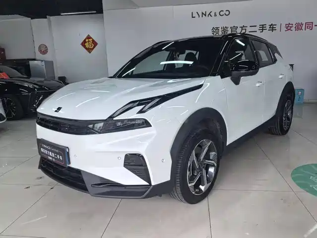 LYNK 06