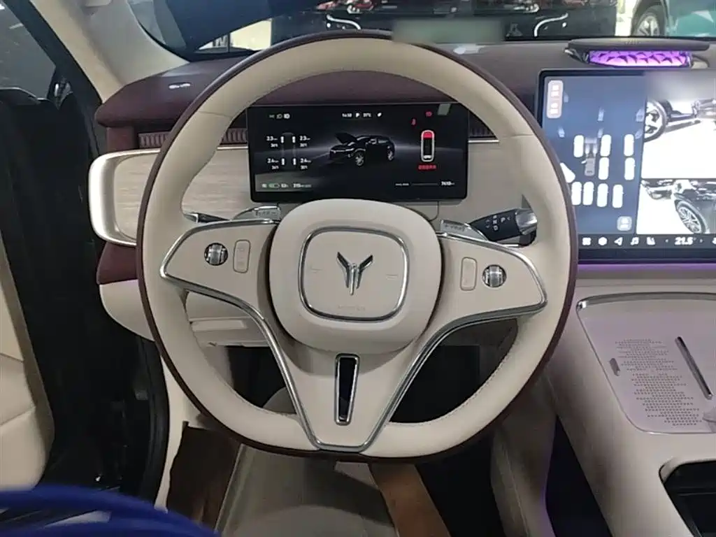 Voyah Auto Voyah Zhiyin 2025 Base фото 11