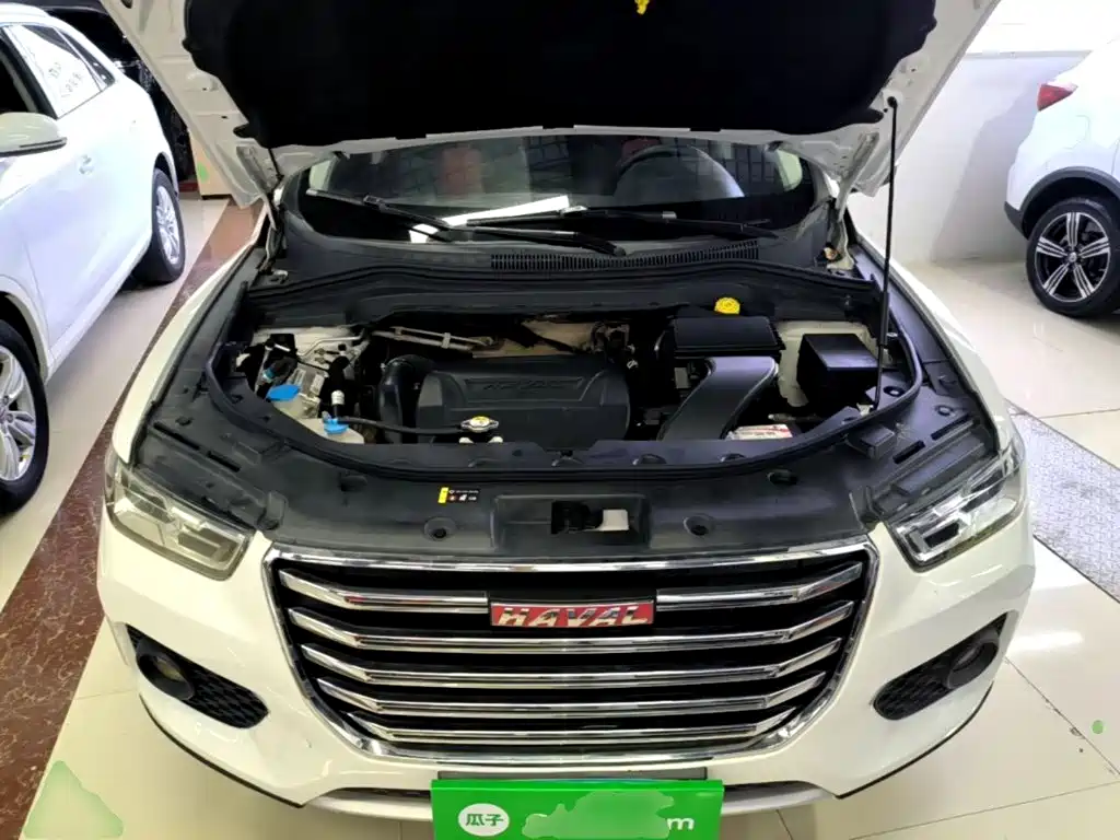 Photo 20 - Haval H2s