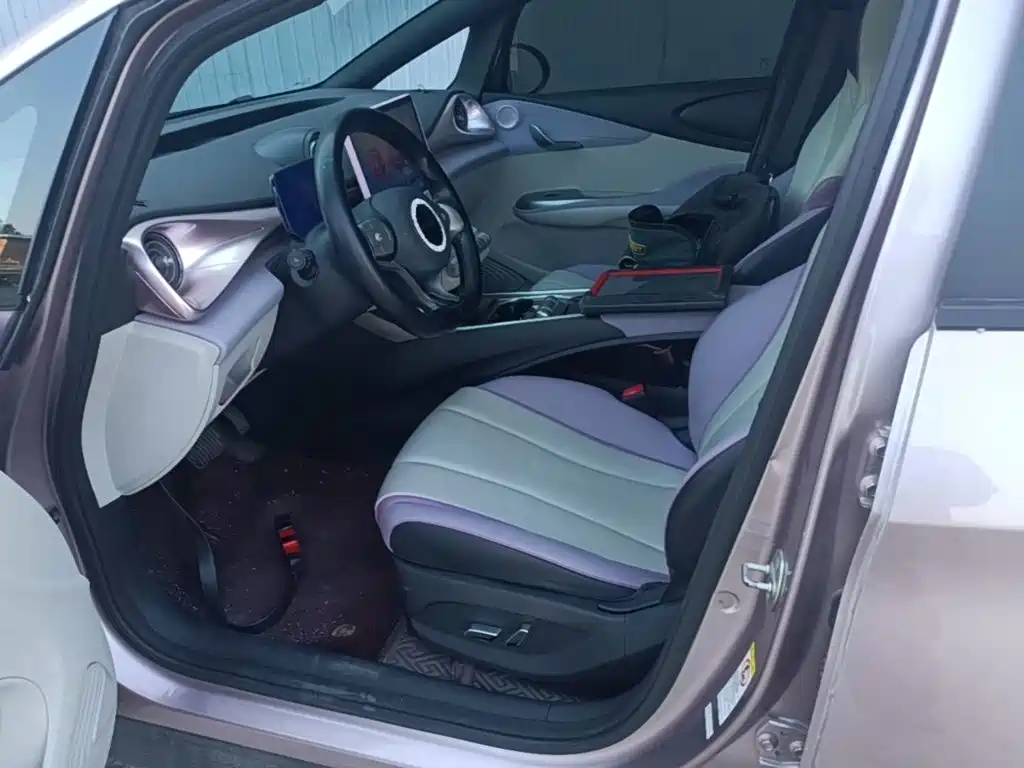 BYD Dolphin 2022 2021 Model 405km Fashion Edition