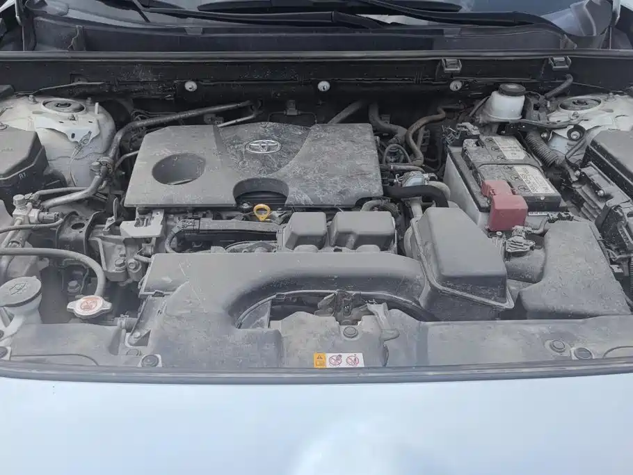 Toyota Wildlander 2023 2023 2.0L CVT FWD LE