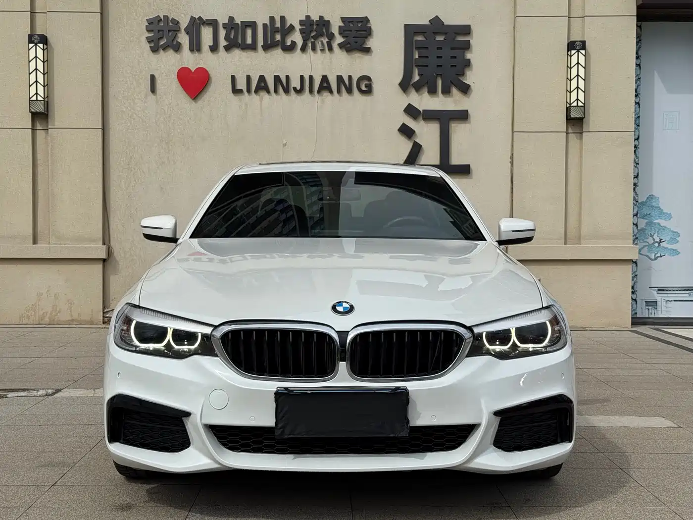 BMW 5 Series 2019 Facelift 530Li Leading M Sport Package фото 3