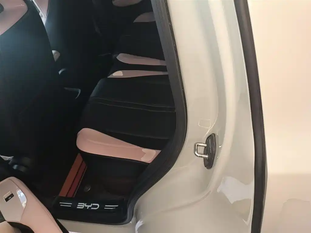 BYD Seagull 2024 Glory Edition 305km Vitality Edition фото 16