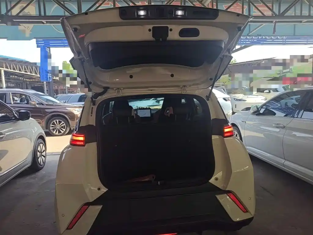 BYD Seagull 2024 Glory Edition 305km Vitality Edition фото 18