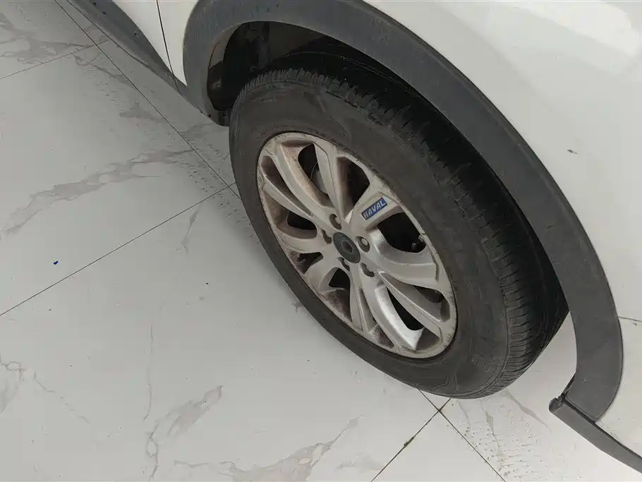 Haval H4 2018 Blue Label 1.5GDIT DCT Trend Edition фото 6