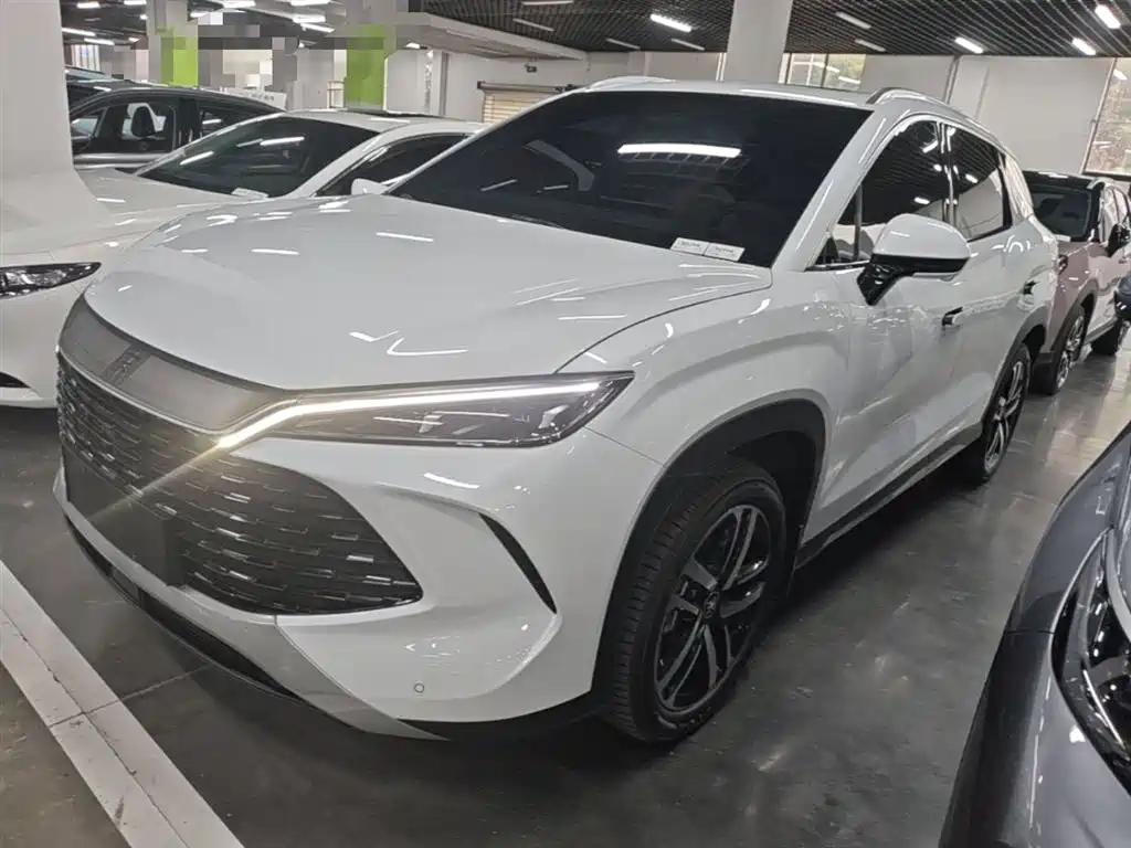 BYD Song L DM-i 2024 112km Leading Edition фото 2