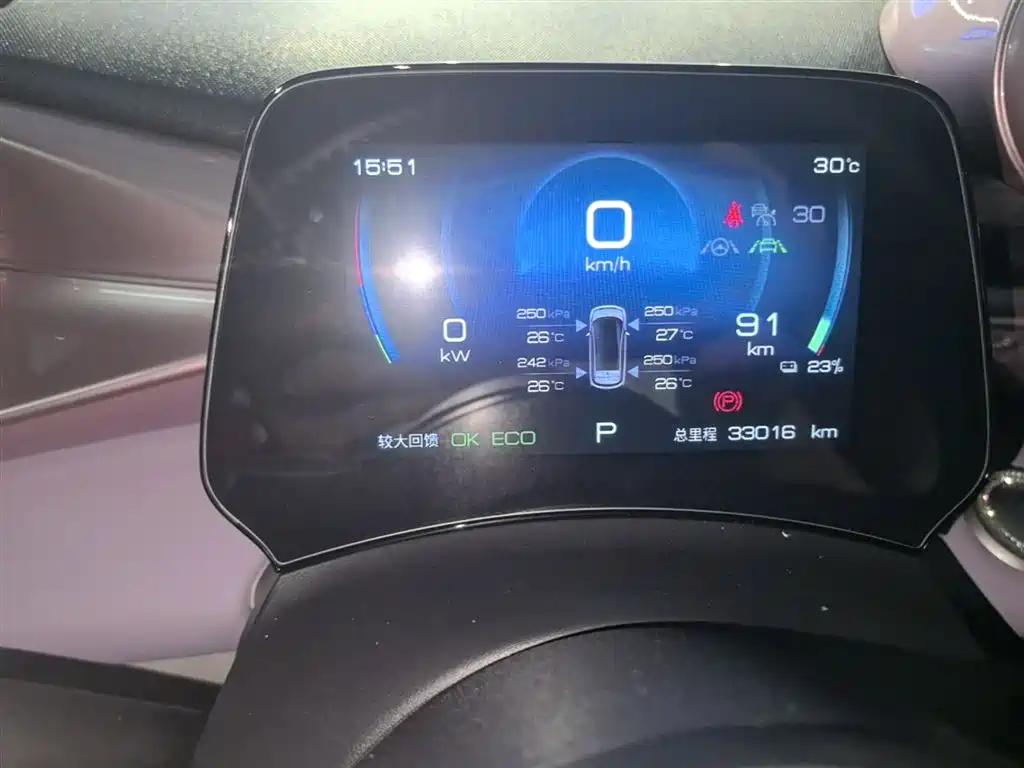 BYD Dolphin 2023 401km Knight Edition фото 12