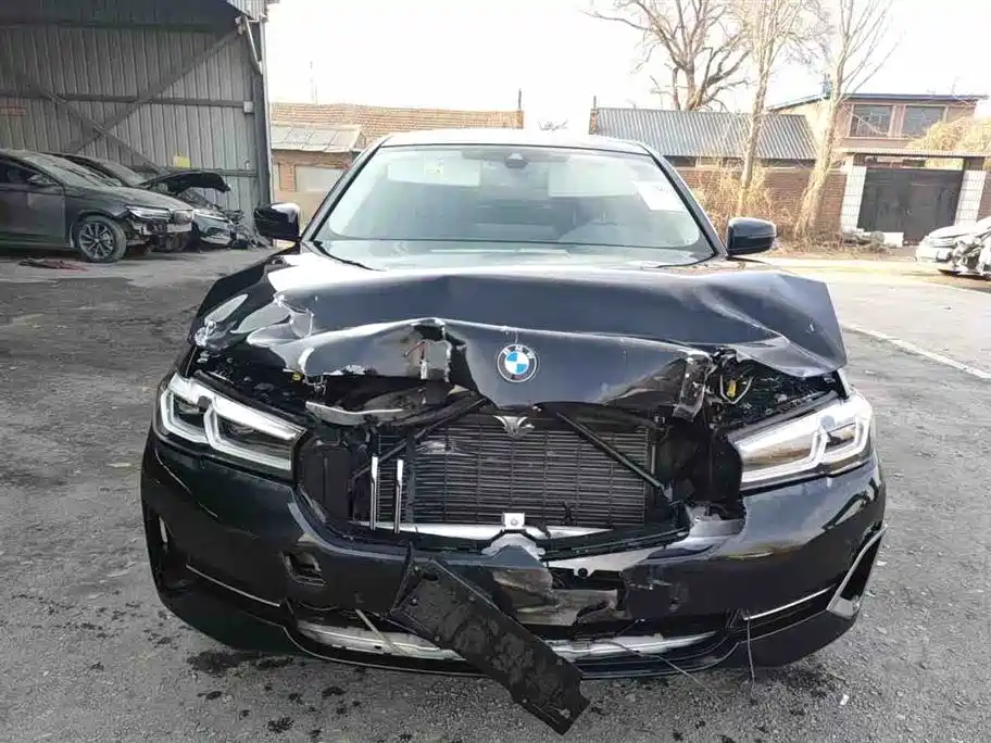 BMW 5 Series 2022 Facelift 530Li Leading Luxury Package фото 2