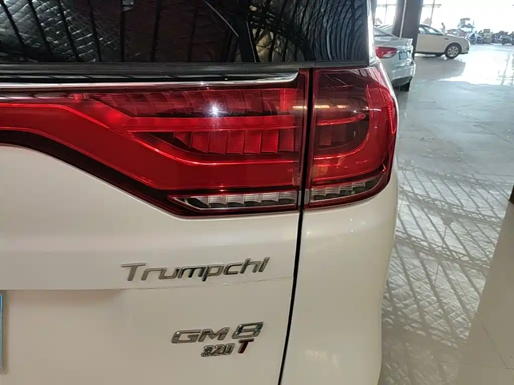 GAC Trumpchi Trumpchi M8 2018 320T Premium Edition фото 8