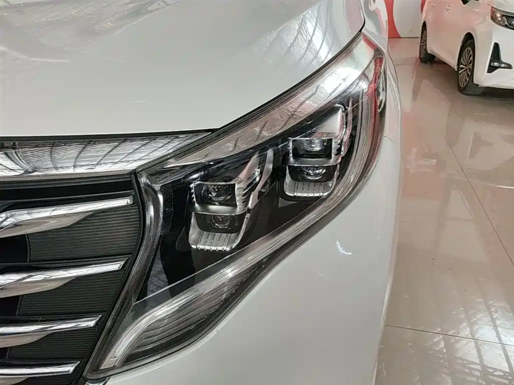 GAC Trumpchi Trumpchi M8 2018 320T Premium Edition фото 24
