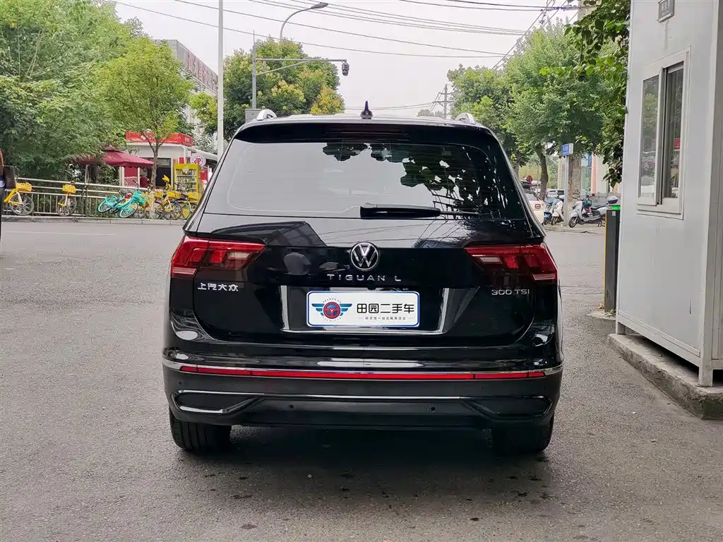 Volkswagen Tiguan L 2024 Outstanding 300TSI Auto 2WD Dragon Soaring Edition фото 5