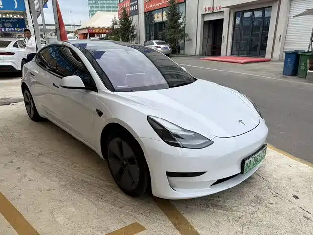 Tesla Model 3 Задний привод