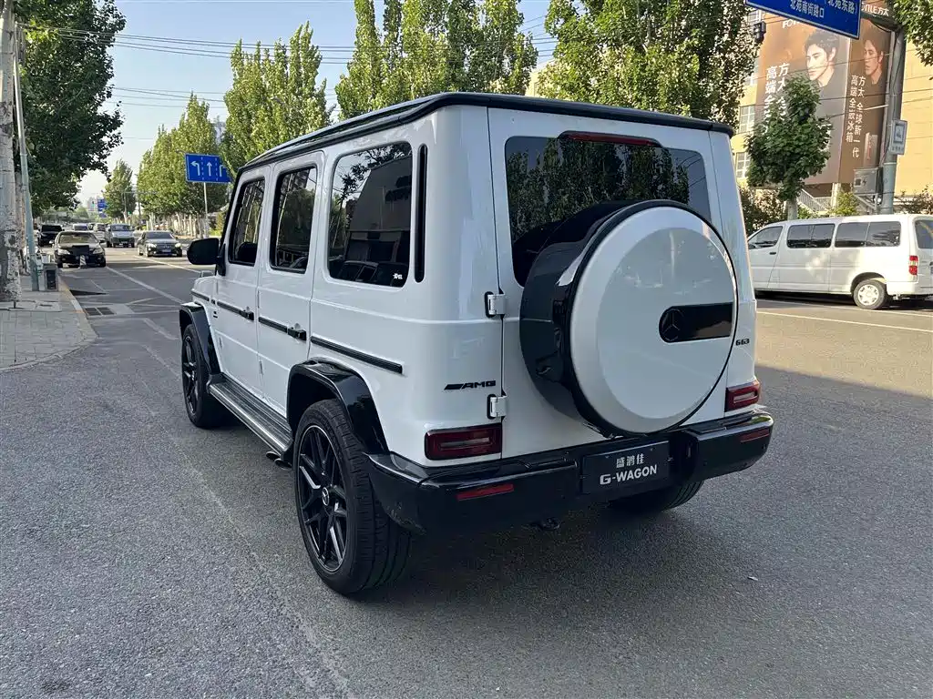 Mercedes-Benz G-Class 2022 G 500 фото 5