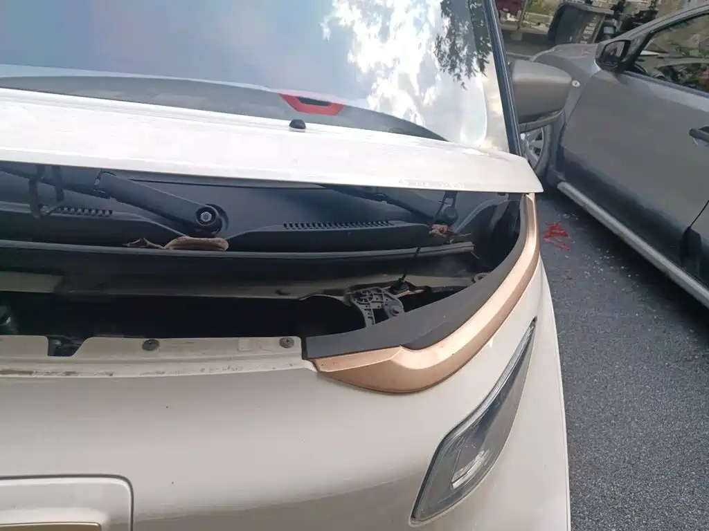 Baojun E200 2020 2020 305KM Smart Enjoyment Edition