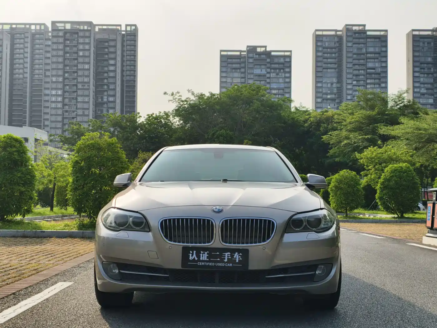 BMW 5 Series 2013 525Li Leadership фото 3