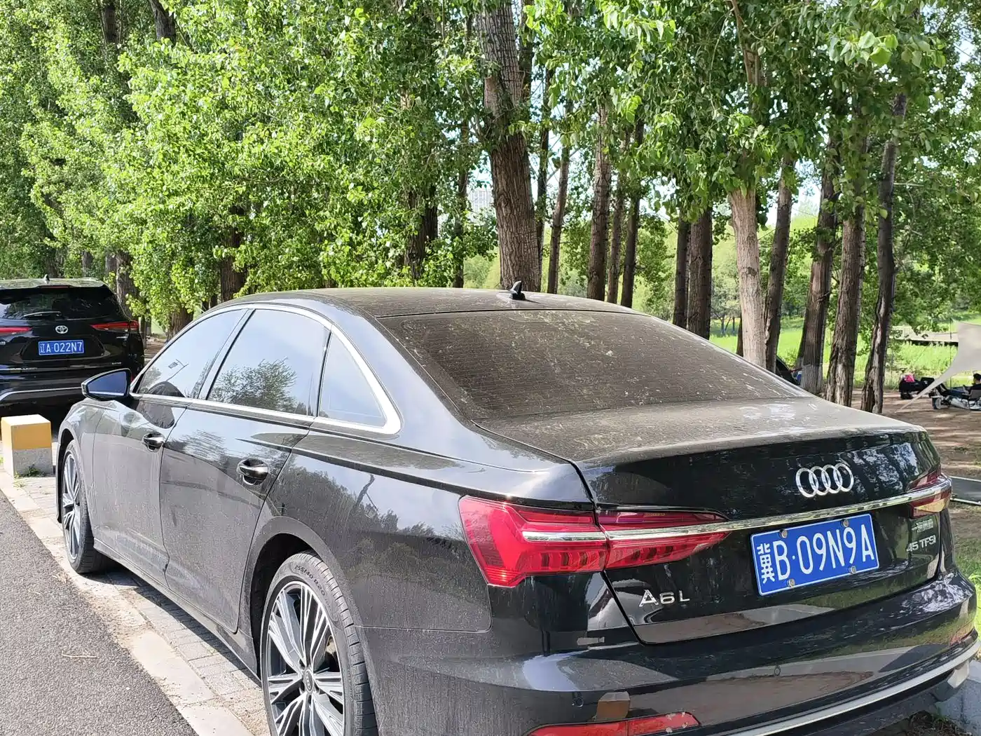 Audi A6L 2023 40 TFSI Luxury Elegance фото 8