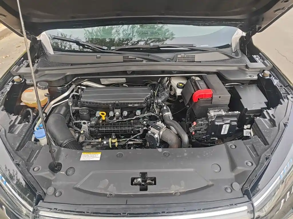 Dongfeng Aeolus Haohan 2024 2023 1.5T Luxury Edition