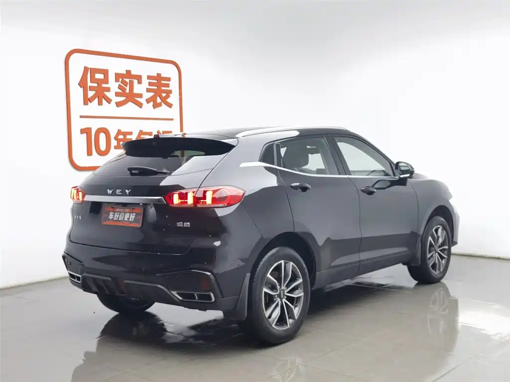 WEI PAI WEI BRAND VV5