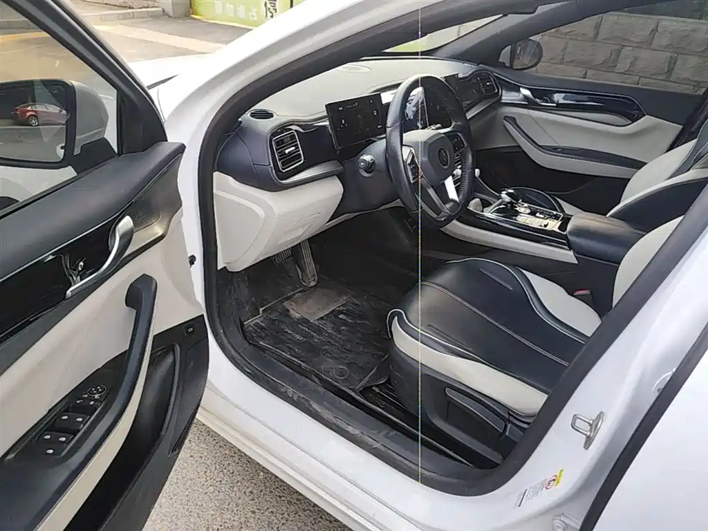BYD Qin PLUS 2023 Champion Edition DM-i 120KM Leading Type фото 16
