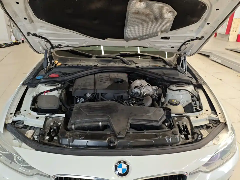 BMW 3 Series 2016 316Li Fashion фото 8